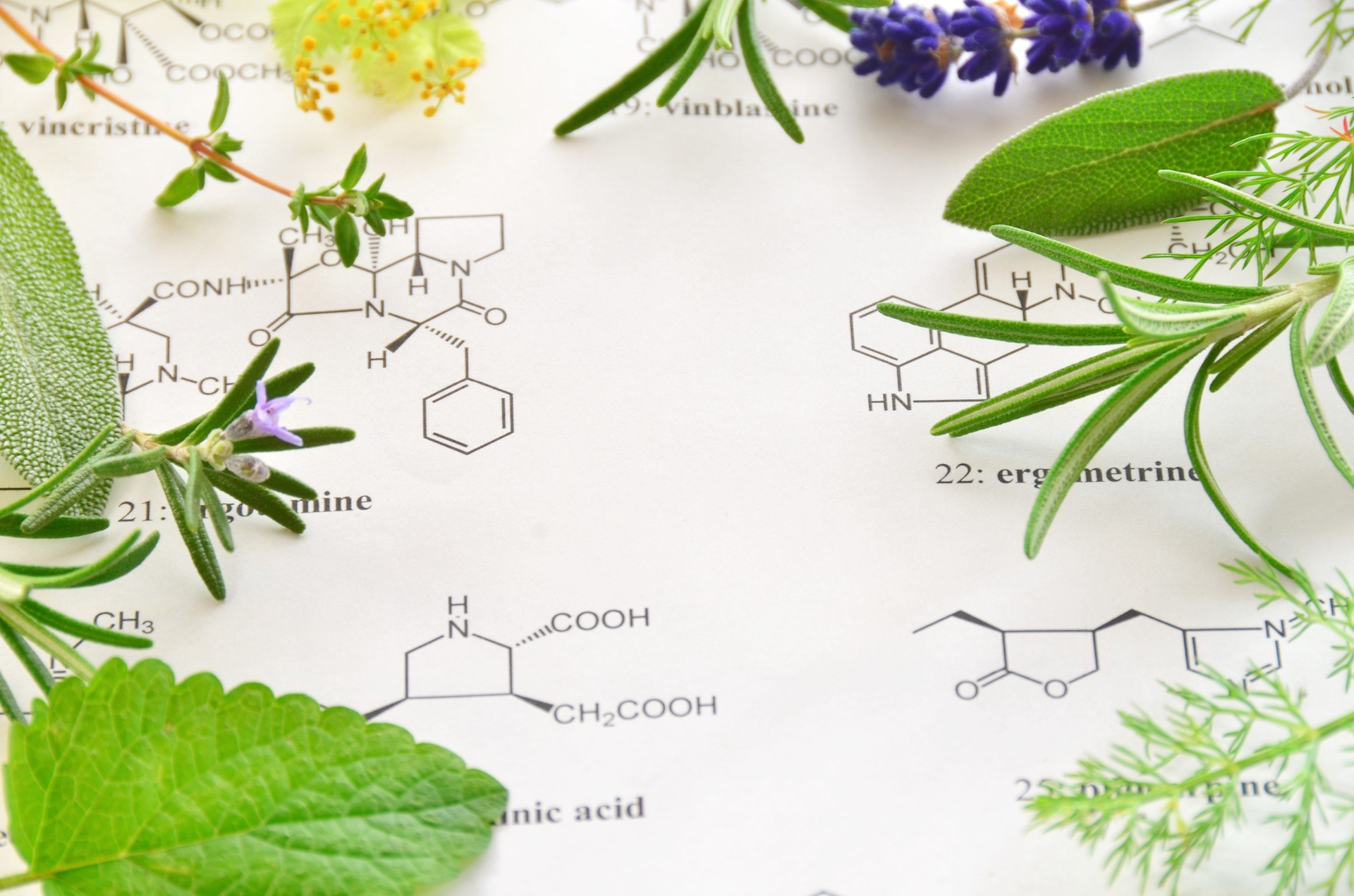 植物と化学構造式